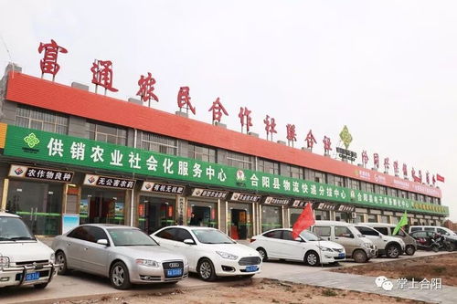 合同兴供销电商助力农民致富，双十一农产品网上销售创下新高潮