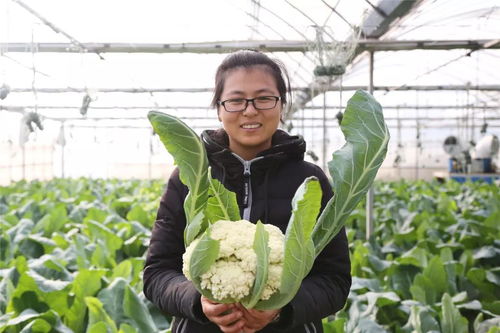 张家港农产品品牌年销售额突破亿元，电商销售成就显著