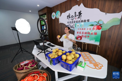 浙江诸暨 发展特色水果产业 助力乡村振兴