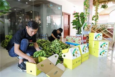 陵水设立3处消费扶贫销售点 扶贫农产品销售形式多样