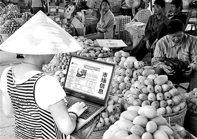 广西鲜活农产品电子商务迈上新台阶