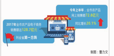 现代农业，为振兴盐阜乡村赋能——纪念改革开放40周年系列报道之农业农村篇（上）网上销售农产品