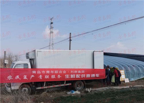平度滞销蔬菜线上直销破10万斤，市民餐桌直通田间地头