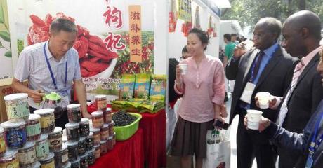 金花寨小米 从金奖荣耀到线上销售的新篇章