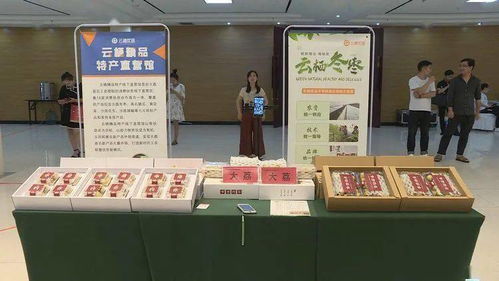 全省网销产品对接会在我县隆重举行，大荔农产品品牌影响力与市场竞争力再获新引擎