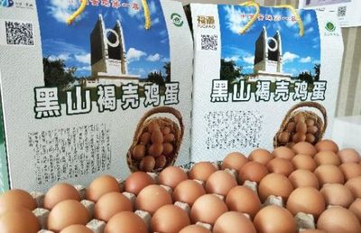 辽宁锦州黑山褐壳鸡蛋 引领全国蛋类农产品地理标志新潮流