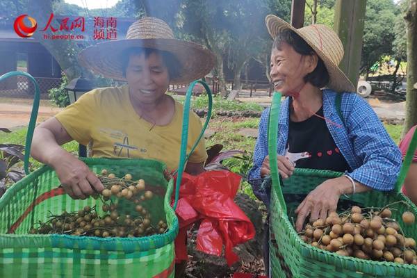 海南海口永兴土产品直销进城 网上销售拓宽销路，农户笑逐颜开
